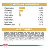 Proyecto nuevo -2-.png